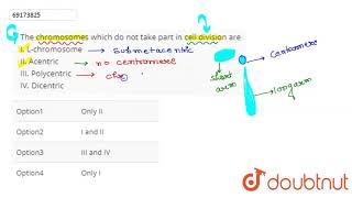 The chromosomes which do not take part in cell division are I Lchromosome [upl. by Meghan]