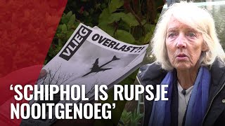 Grote kans op enorme toename vliegherrie van Schiphol [upl. by Rodrique]