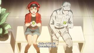 Cells at Work ED Trailer [upl. by Cowden]