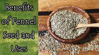 Benefits and Uses of Fennel Seed [upl. by Asiral]