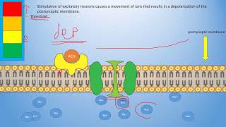 Pharmacology for Parkinsons Disease Understanding Treatment Options  لكجر الاول [upl. by Akimet719]