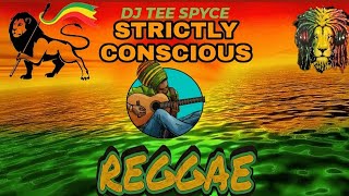 Strictly Conscious Reggae Selection  Reggae Mix 2023  Positive Vibes [upl. by Cardinal]