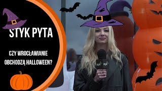 STYK PYTA  Czy wrocławianie obchodzą Halloween [upl. by Hendrix]