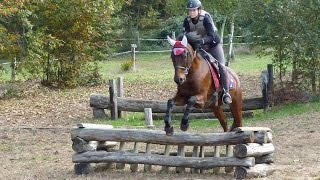 Entraînement Cross [upl. by Sherrie]