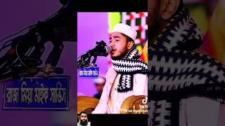 কারী আবু রায়হান gojol trending duet youtubeshorts islamic shorts cat song [upl. by Rentschler134]