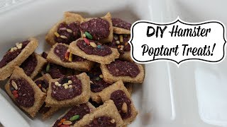 DIY Hamster Poptart Treats [upl. by Lenod]