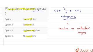 What protects enzyme nitrogenase [upl. by Akehsat]