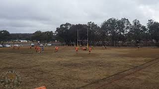 Tingha Tigers v Tenterfield Tigers [upl. by Diet]