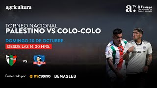 Palestino vs ColoColo  Torneo Nacional  Fecha 28  20102024 [upl. by Carbo]