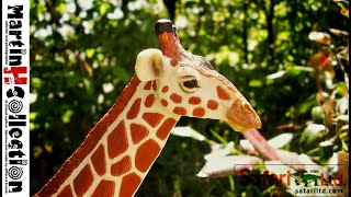 MartinH Collection  Safari Ltd Reticulated Giraffe Wildlife Wonders  video review [upl. by Menedez]