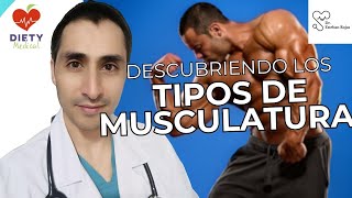 Descubriendo Los Tipos de Musculatura [upl. by Tarr681]