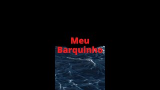 Meu Barquinho cover shorts [upl. by Enyt]