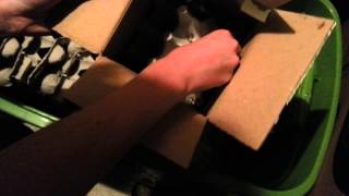 Unboxing 500 Crickets from Flukers Farms [upl. by Anahsar800]