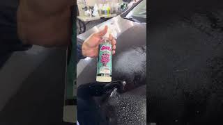 Lavage décontamination protection automobile detailing [upl. by Bobbi908]