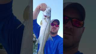 Florida Snook from Ohio shorts [upl. by Carmelina]