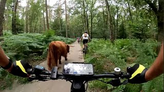 MTB route Rheden 4K [upl. by Ykcin450]