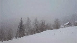 10 Hours of Blizzard Storm Sounds  Natural White Noise for Sleep amp Relaxation [upl. by Ylram]