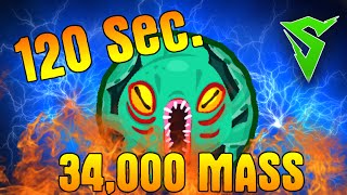 120 Sec  34000 MASS Agario Gameplay Agario [upl. by Yellac932]