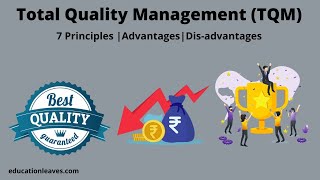 What is Total Quality management TQM  7 Principles of Total Quality Management [upl. by Berkie433]