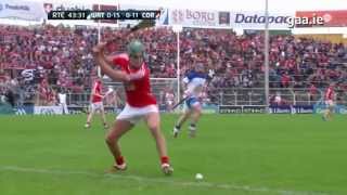 2014 Hurling Goals of the Championship [upl. by Doownil522]