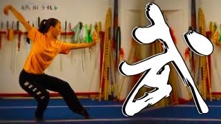 Kung Fu Wushu Tutorial  5 Basic Stances [upl. by Ttam]