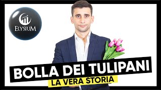 La BOLLA dei TULIPANI 🌷 Storia della prima bolla speculativa del 1637 📉 [upl. by Lhok]