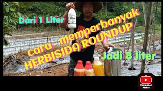 Cara memperbanyak herbisida roundup [upl. by Viki]