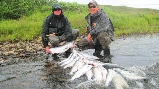 Fish Alaska Becharof Rapids Camp 2 [upl. by Nho]