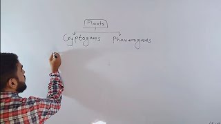 Classification of Plants  class 9  lecture 3 Cryptogams and Phanerogams [upl. by Bridget640]