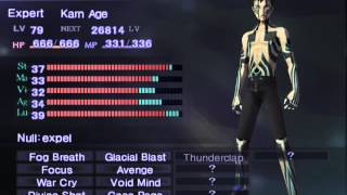 Shin Megami Tensei Nocturne Solo Hard TDE  49 666 HP [upl. by Yblehs]