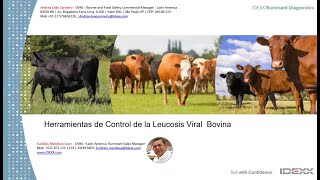 IDEXX SANIDADE BOVINA quotDetecção de Leucose bovina e seu Impacto nos Programas de Saúdequot [upl. by Utley498]