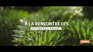 Le savoirfaire des Pépinières Naudet producteur de sapins [upl. by Noissap]