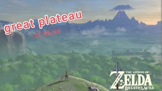 speedrun Zelda botw 270555 [upl. by Laine]