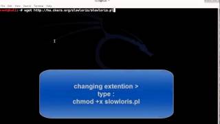 Kali Linux how to hack a website DDOS attack [upl. by Narud]