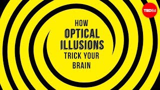 How optical illusions trick your brain  Nathan S Jacobs [upl. by Ithsav]