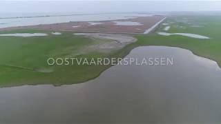 Oostvaardersplassen Lelystad Nederland  Drone Video 4K [upl. by Legra643]