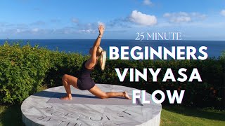 25 Min Yoga Vinyasa Flow for Beginners and All Levels  Blue Wave Yoga [upl. by Alysa891]