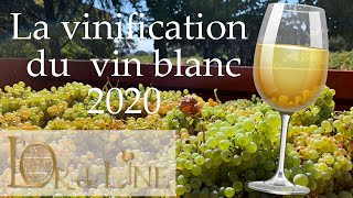 La vinification de notre blanc 2020 [upl. by Waldos]