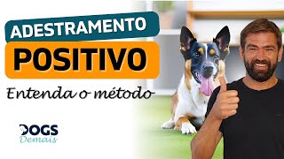 Tudo o que você precisa saber sobre Adestramento Positivo para cães [upl. by Kcid821]