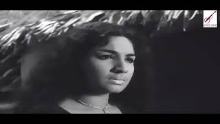 Malayalam Ponnil Kulicha Rathri Song  Malayalam lyrics and english translation [upl. by Anehsat837]