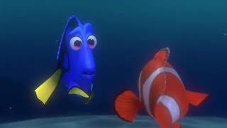 البحث عن نيمو Finding Nemo  مرهف يقابل ضوري  دبلجة مصري [upl. by Fitts402]