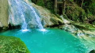 relaxing river sound peaceful forest improves mood relieves stress helps sleep soundly [upl. by Eiuqnom612]