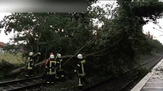 Baum stürzt bei Unwetter auf Oberleitung [upl. by Aliahkim760]