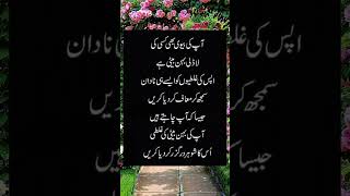 اپکی بیوی flute music cover ringtone recorder quotes backgroundmuisc musiclove poetry back [upl. by Ninetta923]