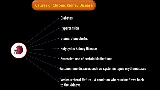 Causes of Kidney Disease [upl. by Smailliw957]