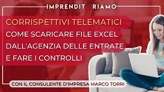 Corrispettivi telematici  Come scaricare file Excel dallAgenzia delle Entrate e fare i controlli [upl. by Aynekal278]