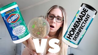 CLOROX WIPES VS HOMEMADE DIY DISINFECTANT WIPESTESTING HOMEMADE DISINFECTANT WIPESTHIS VS THAT [upl. by Tail]