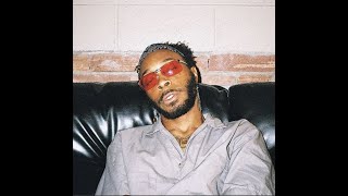 FREE JPEGMAFIA TYPE BEAT 2024 quotempty housequot [upl. by Bogusz]