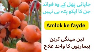 Amlok ke fayde  health benefits of japani phal [upl. by Uot]