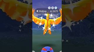 🤯🤫 Finally finding galarian MOLTRES in pokemon go [upl. by Yrehc]